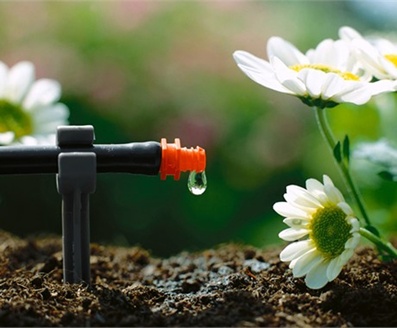 béc tưới nhỏ giọt