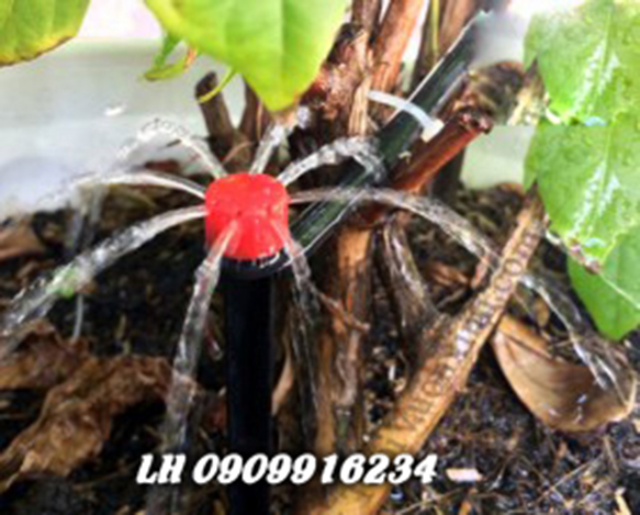 Cây Cắm Nhỏ Giọt 8 Tia Đỏ
