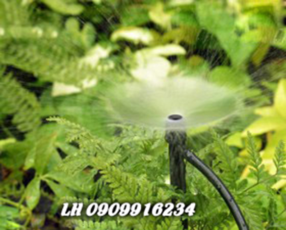Cây Cắm Tưới Gốc Xòe 360 Độ