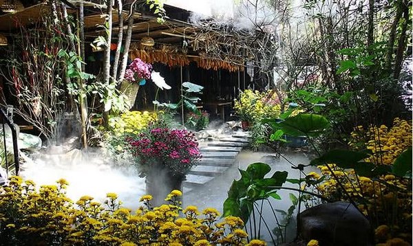 co nen dung may phun suong