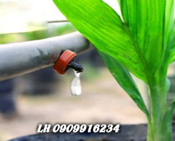 Đầu Tưới Nhỏ Giọt Israel
