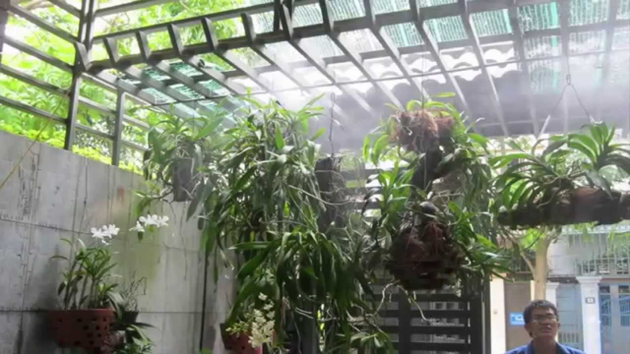 hệ thống phun sương tưới lan