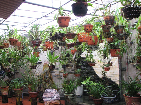 hệ thống phun sương tưới lan