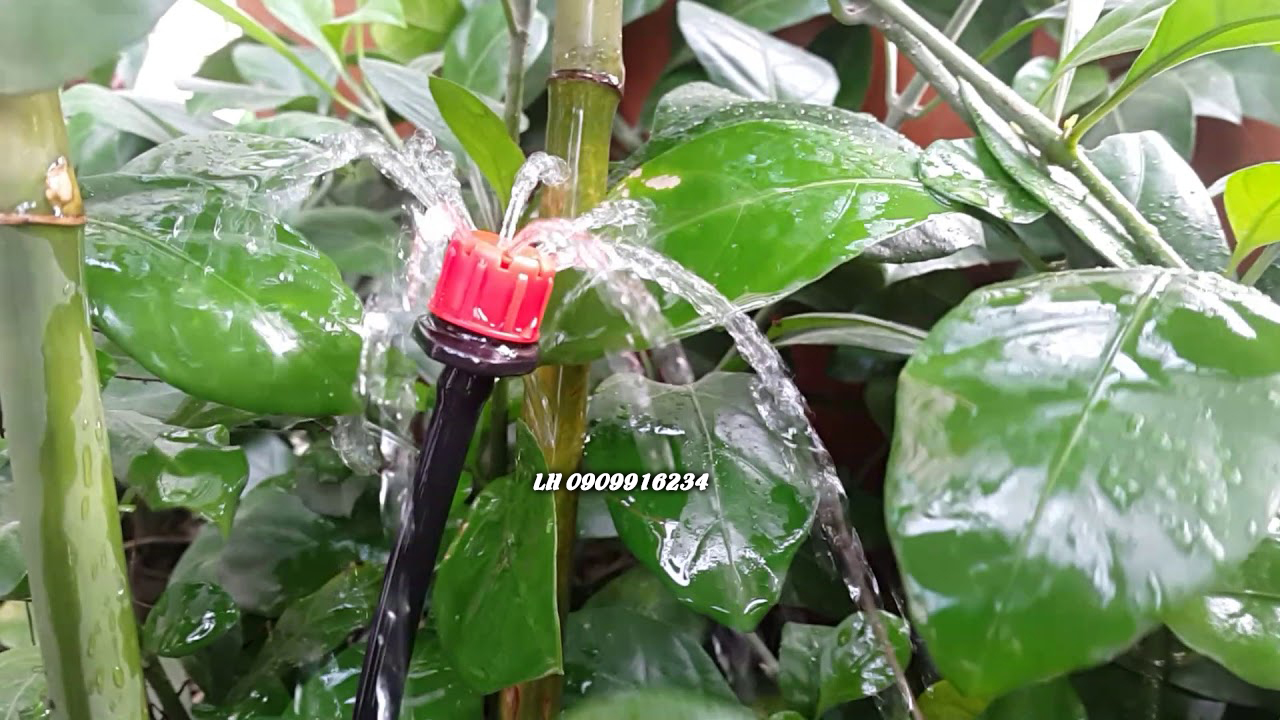 Bộ Tưới Nhỏ Giọt