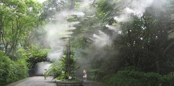 Phun sương thái dương