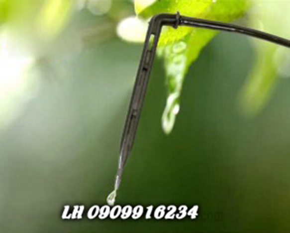 Que Cắm Nhỏ Giọt Mũi Tên