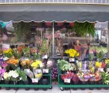 16+ TÁC DỤNG CỦA MÁY PHUN SƯƠNG BẠN ĐÃ BIẾT CHƯA?