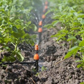 bộ tưới tự động 8tia kết hợp phun sương điều khiển bằng wifi()