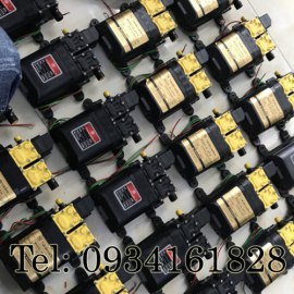 Bơm Đôi 12v Sinleader (Có Vỏ)