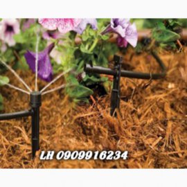 Cây Cắm Nhỏ Giọt 8 Tia Đen