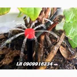 Cây Cắm Nhỏ Giọt 8 Tia Đỏ