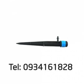 Cây Cắm Phun Xòe Gốc