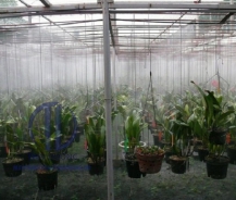 TOP 4 VẤN ĐỀ CẦN PHẢI BIẾT KHI CHỌN MÁY PHUN SƯƠNG TƯỚI LAN