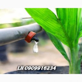Đầu Tưới Nhỏ Giọt Israel