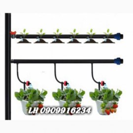 Hệ Thống Tưới Nhot Giọt Nhà Màng