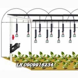 Hệ Thống Tưới Phun Mưa Mái tôn, tưới rau