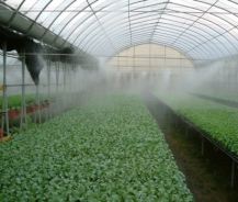 Kinh nghiệm hữu ích khi sử dụng máy phun sương