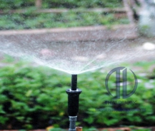 LẮP ĐẶT MÁY PHUN SƯƠNG – GIẢI PHÁP TƯỚI TỰ ĐỘNG HOÀN HẢO