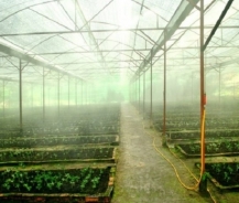 KHÁM PHÁ TỪ A ĐẾN Z VỀ MÁY BƠM PHUN SƯƠNG TƯỚI CÂY