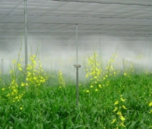 LÀM THẾ NÀO ĐỂ SỬ DỤNG MÁY PHUN SƯƠNG TƯỚI LAN HIỆU QUẢ?