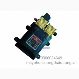 Máy rửa xe 12V 2 bơm