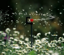 Những lợi ích và lưu ý khi sử dụng béc phun sương