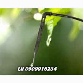 Que Cắm Nhỏ Giọt Mũi Tên