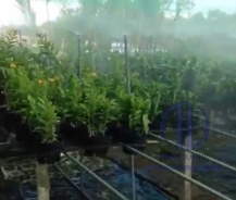 SĂN LÙNG NƠI BÁN MÁY PHUN SƯƠNG TẠO ẨM TỐT NHẤT TPHCM?