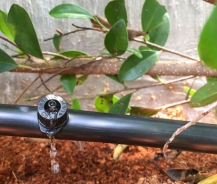 TOP hệ thống tưới nước nhỏ giọt được sử dụng nhiều nhất hiện nay