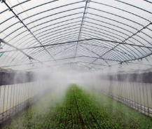 Đôi nét về máy phun sương tạo ẩm cho cây trồng